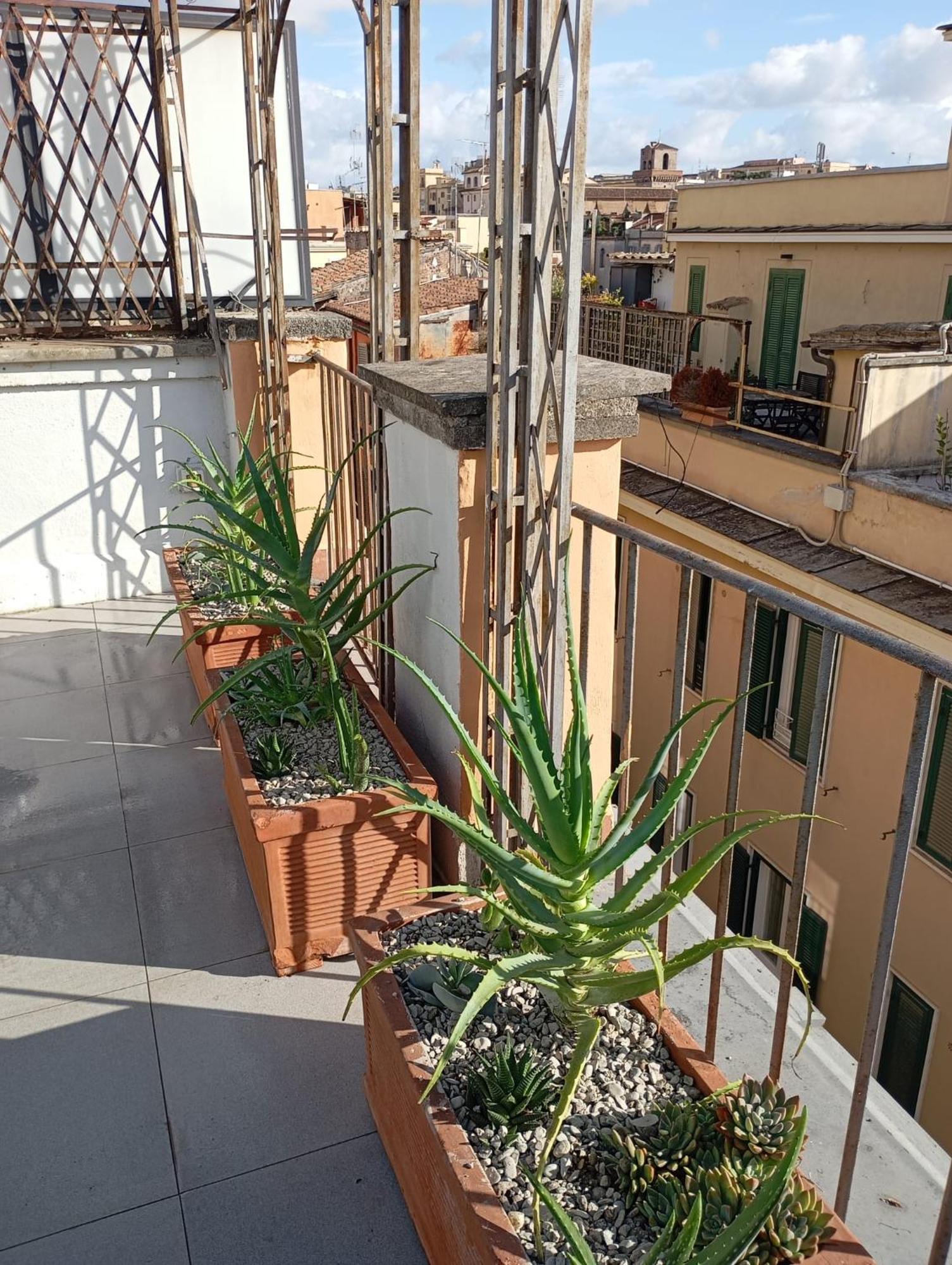 Colosseum Exclusive Duplex 罗马 外观 照片